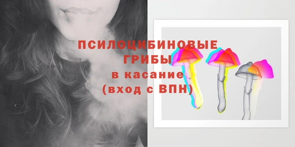 дмт Нея