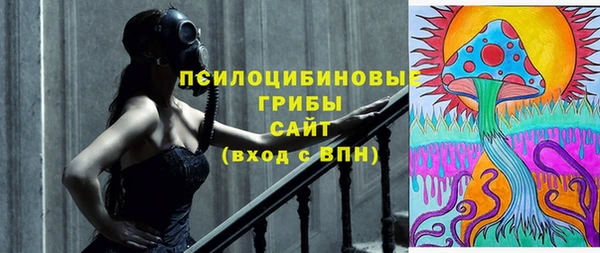 гидропоника Абаза