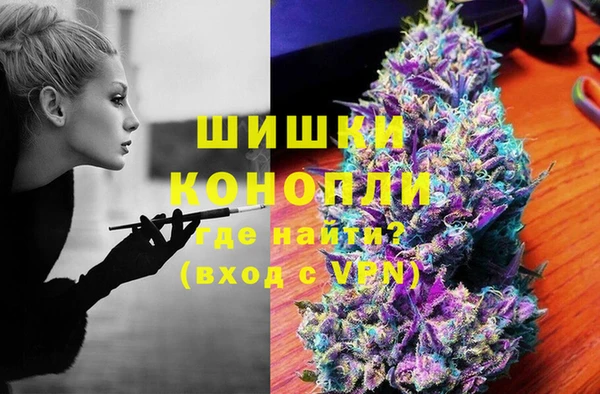 сатива Абинск