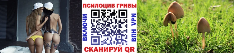 Галлюциногенные грибы Psilocybine cubensis  Красково 